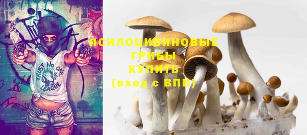 PSILOCYBIN Абдулино