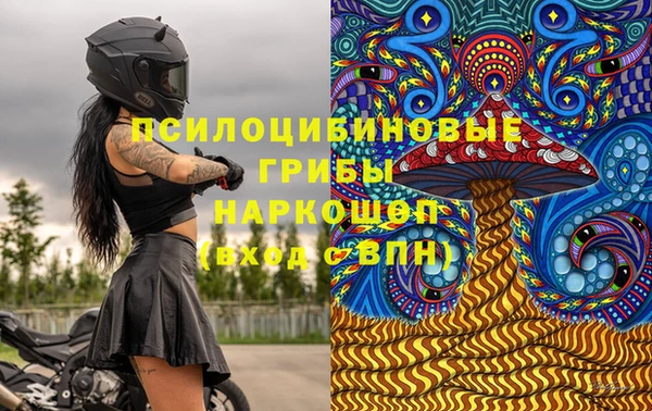 PSILOCYBIN Абдулино